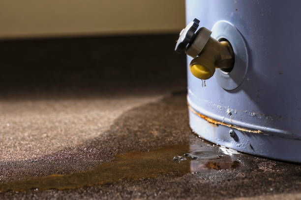 Best Water damage mitigation services  in Elgin, SC
