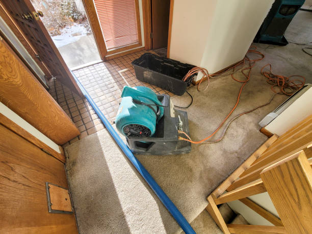 Best Flood restoration services  in Elgin, SC