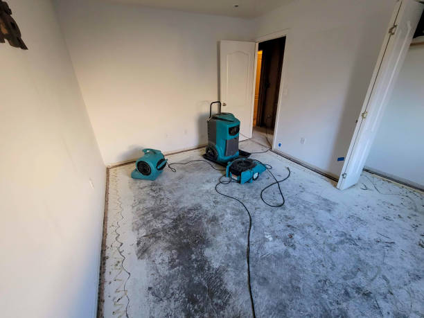 Best Water damage restoration near me  in Elgin, SC