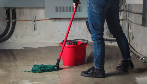 Best Water damage contractors near me  in Elgin, SC