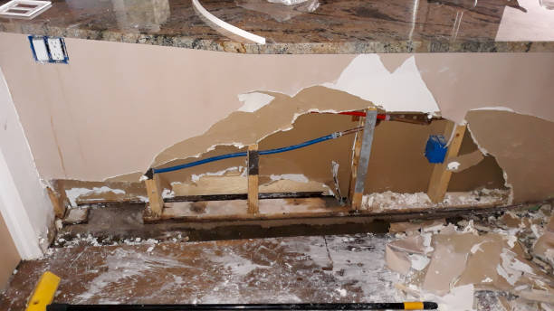 Best Water damage restoration near me  in Elgin, SC