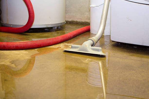 Best Water damage restoration company  in Elgin, SC