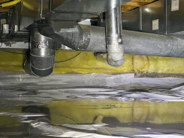 Best 24-hour water damage restoration  in Elgin, SC