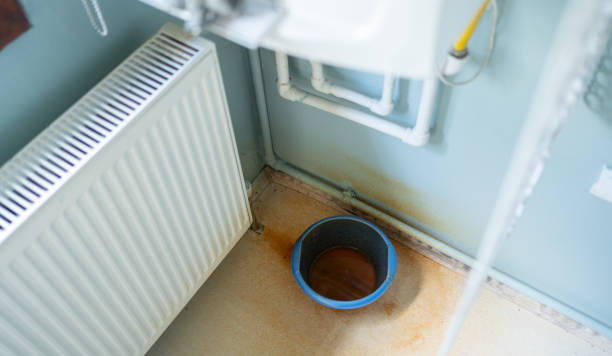 Best Fire Damage Restoration  in Elgin, SC