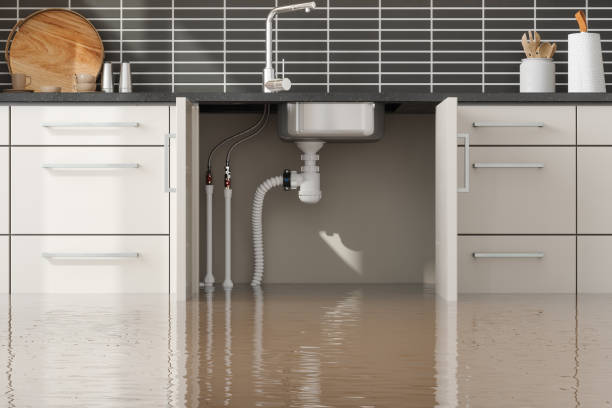 Best Flooded house restoration  in Elgin, SC