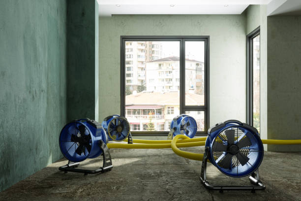 Best Basement water damage restoration  in Elgin, SC